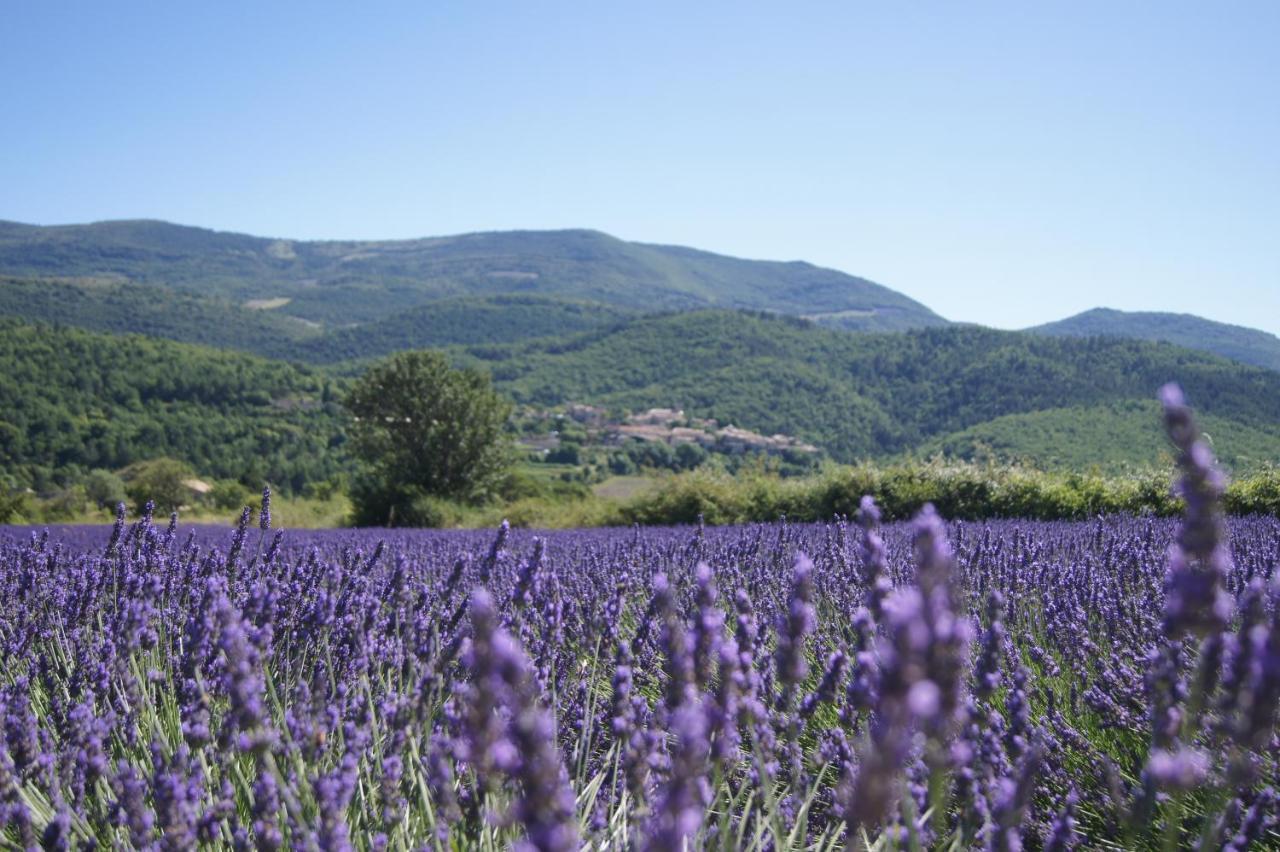 ホテル La Claveliere Saint-Auban-sur-lʼOuvèze エクステリア 写真