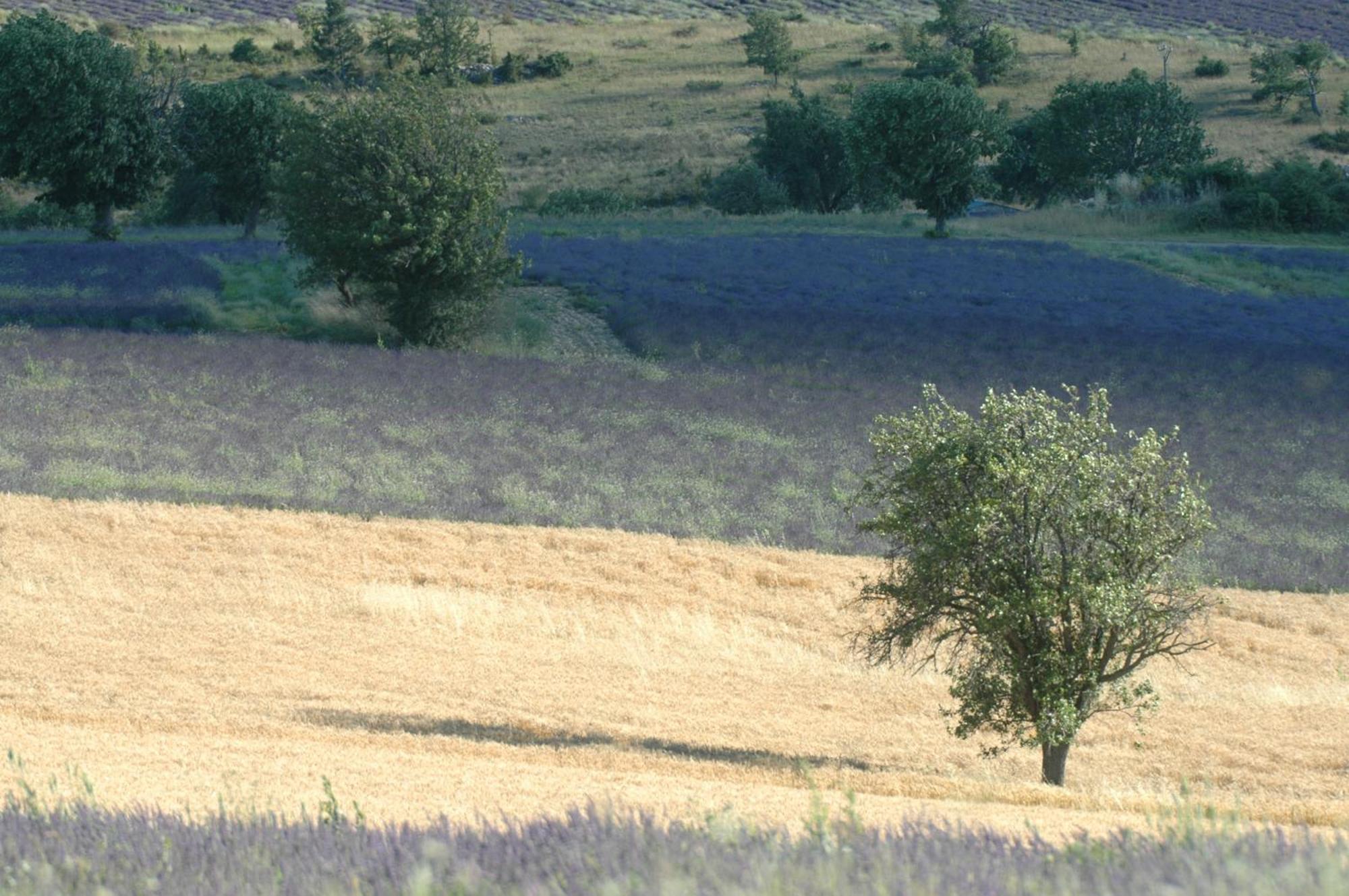 ホテル La Claveliere Saint-Auban-sur-lʼOuvèze エクステリア 写真